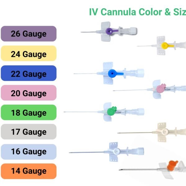 IV Cannula